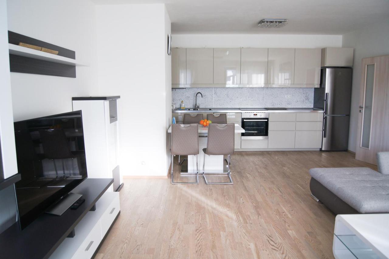 Apartment Luxury In Prag